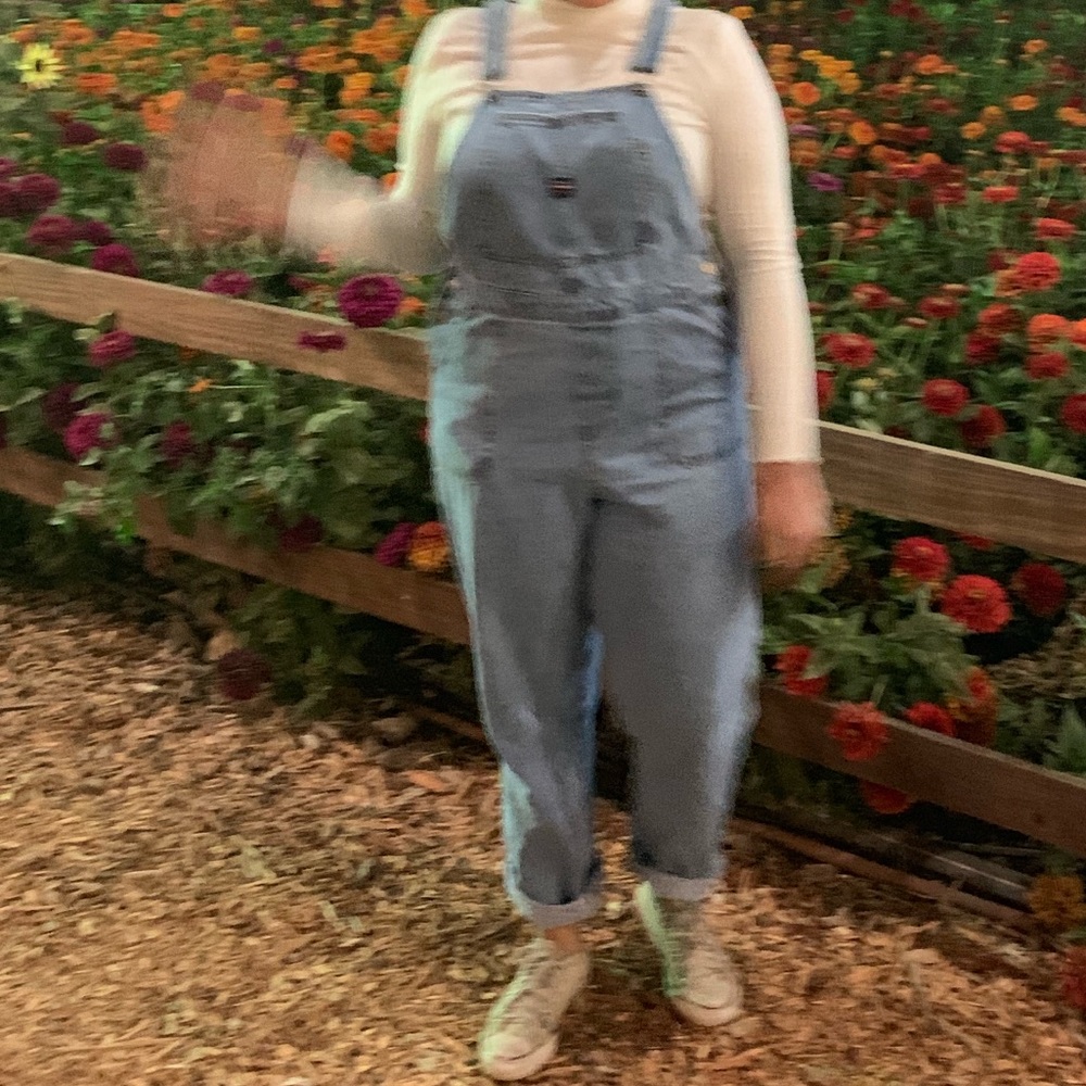 Unionbay Vintage Light Wash Overalls